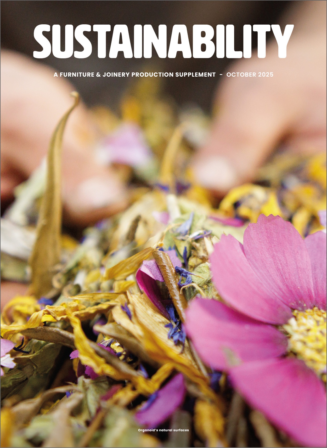 Sustainability Supplement